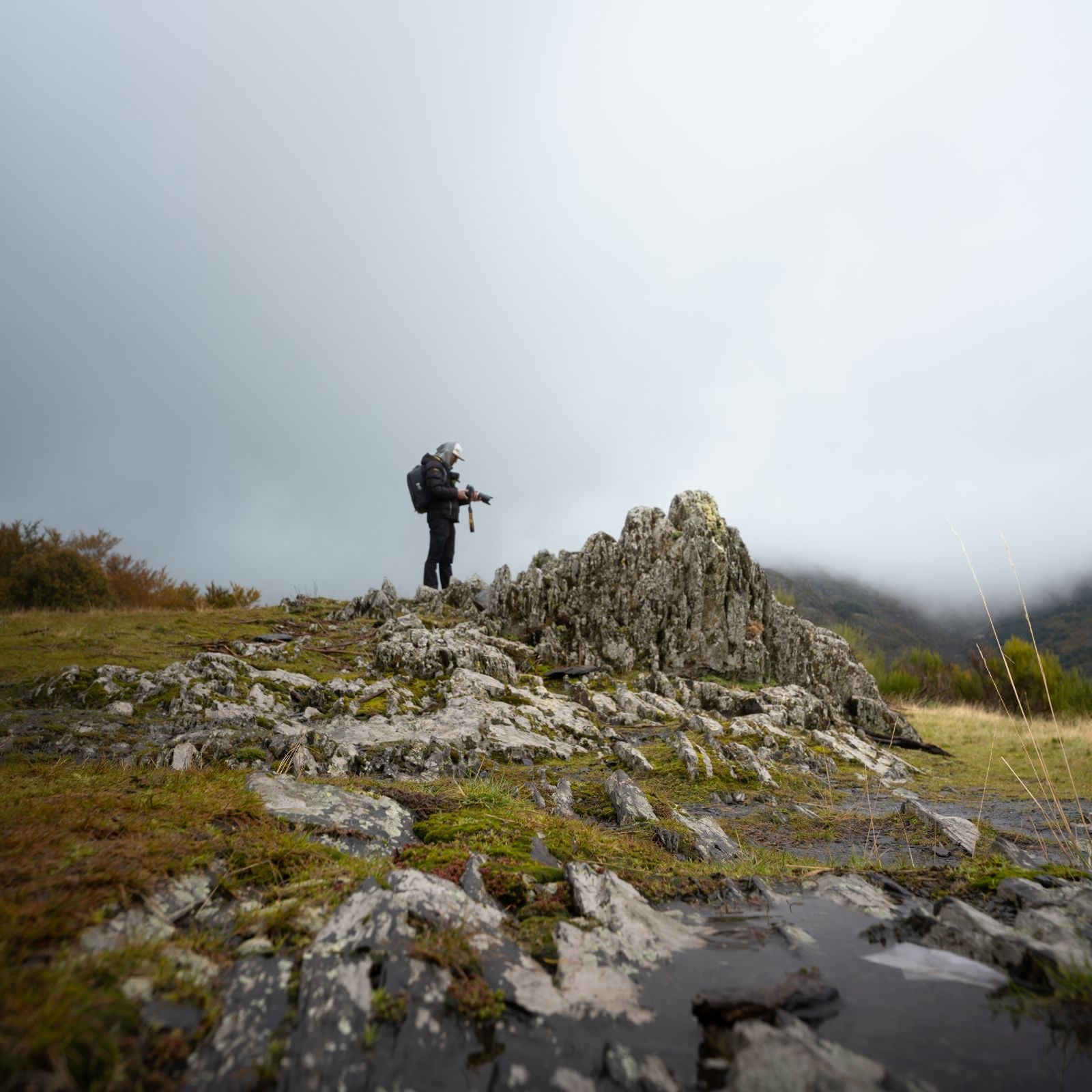 Foothill Aluminum Trekking Poles — Summit