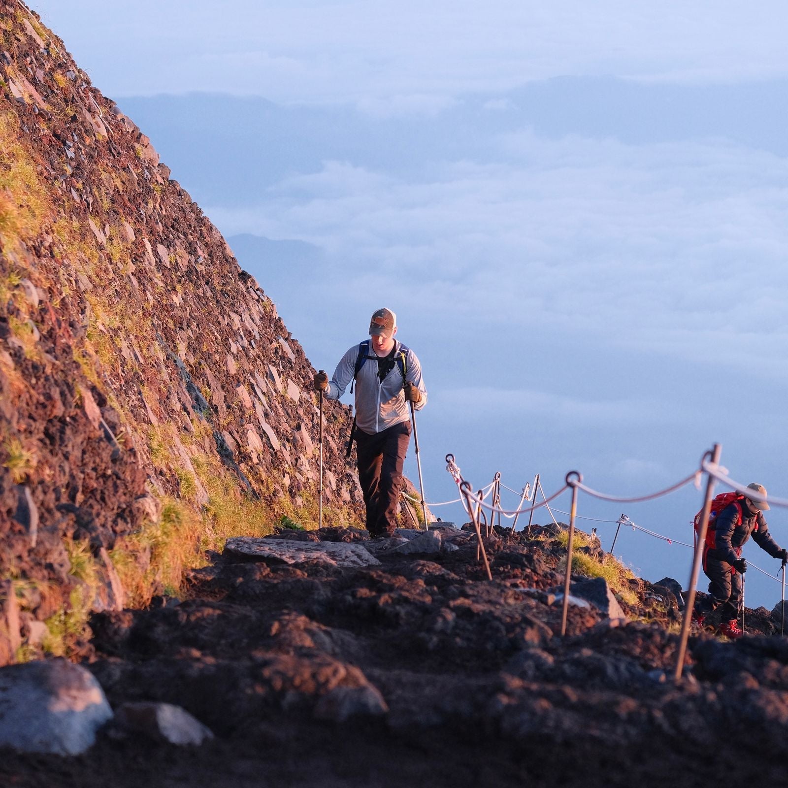 Ridge Carbon Trekking Poles — Summit